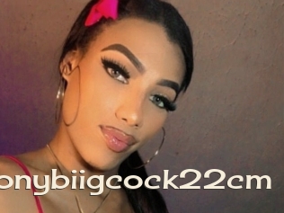 Ebonybiigcock22cm