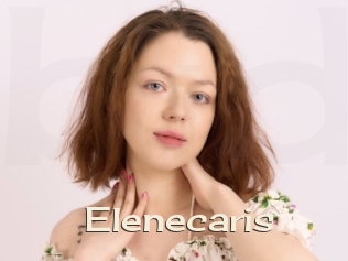 Elenecaris