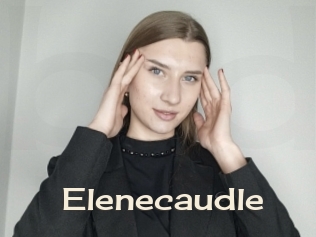 Elenecaudle