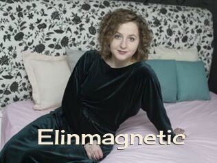 Elinmagnetic