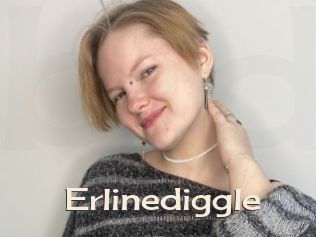 Erlinediggle