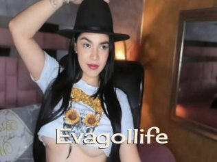 Evagollife