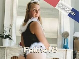Feline18