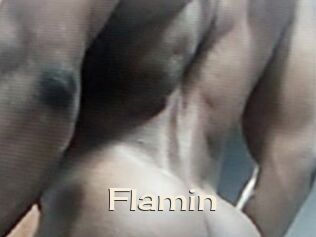 Flamin