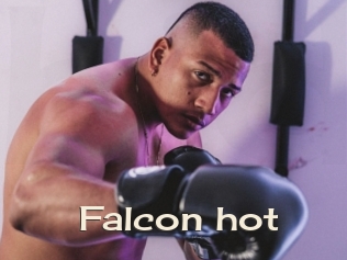 Falcon_hot
