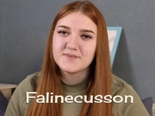 Falinecusson