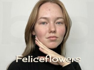 Feliceflowers