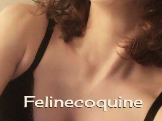 Felinecoquine