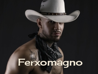 Ferxomagno