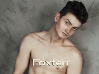 Foxterr