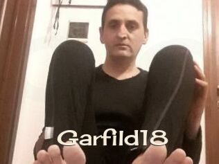 Garfild18