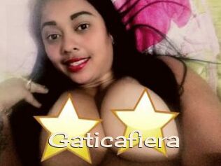 Gaticafiera