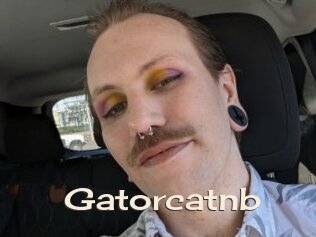 Gatorcatnb