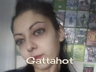 Gattahot