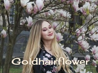 Goldhairflower