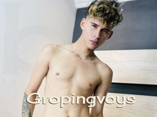 Gropingvoys