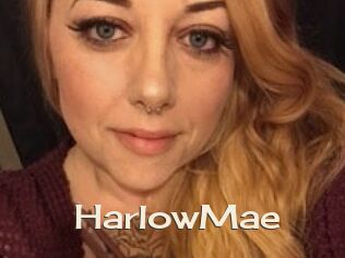 HarlowMae