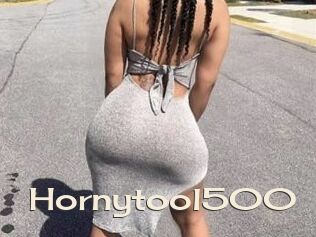 Hornytool500