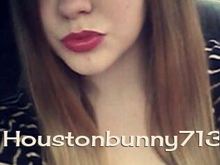 Houstonbunny713