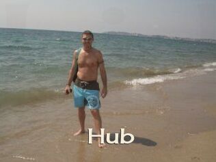 Hub