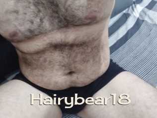 Hairybear18