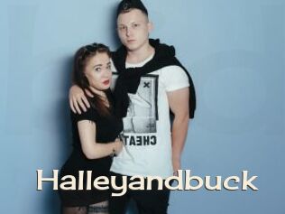 Halleyandbuck