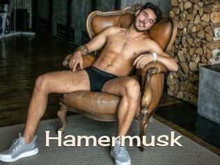 Hamermusk