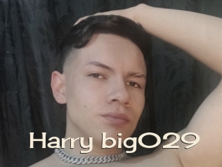 Harry_big029