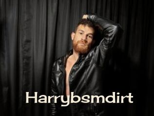 harrybsmdirt Big Dicks Round Ass