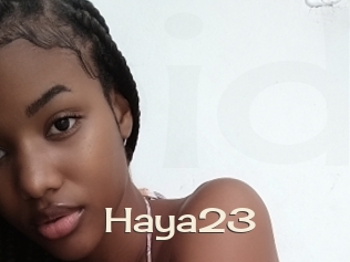 Haya23