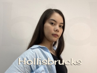 Hollisbrucks