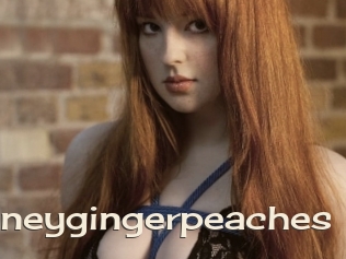 Honeygingerpeaches