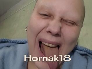 Hornak18