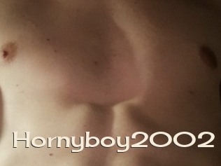 Hornyboy2002