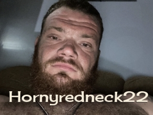 Hornyredneck22