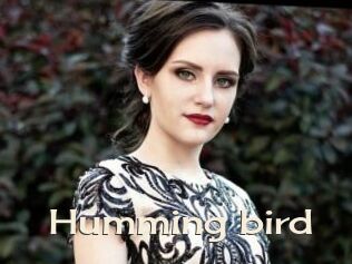 Humming_bird