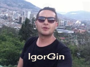 IgorGin