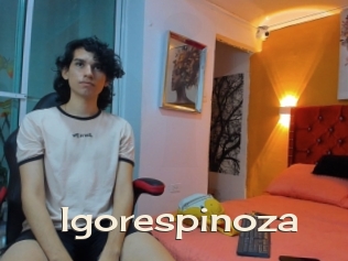 Igorespinoza