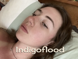 Indigoflood