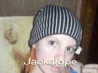 Jackalope