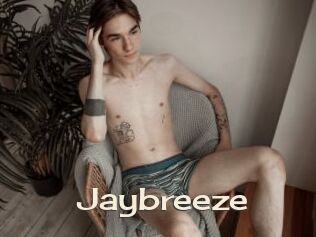 Jaybreeze