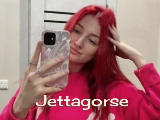 Jettagorse