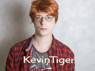 KevinTiger