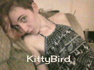 KittyBird
