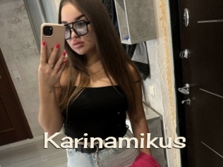Karinamikus