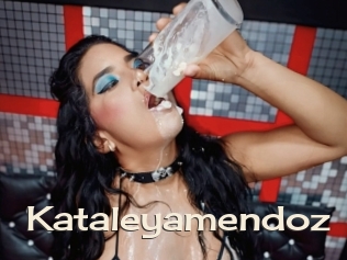 Kataleyamendoz