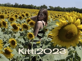 Kitti2023