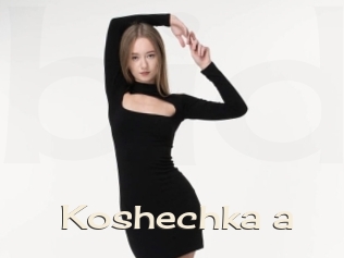 Koshechka_a