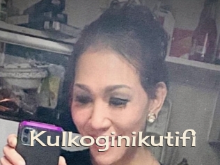 Kulkoginikutifi