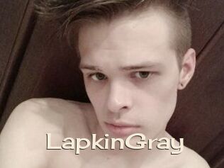 LapkinGray